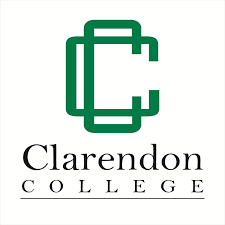 tccta_institutional_partner_logo_clarendon